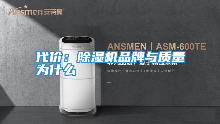 代價:除濕機品牌與質量為什么