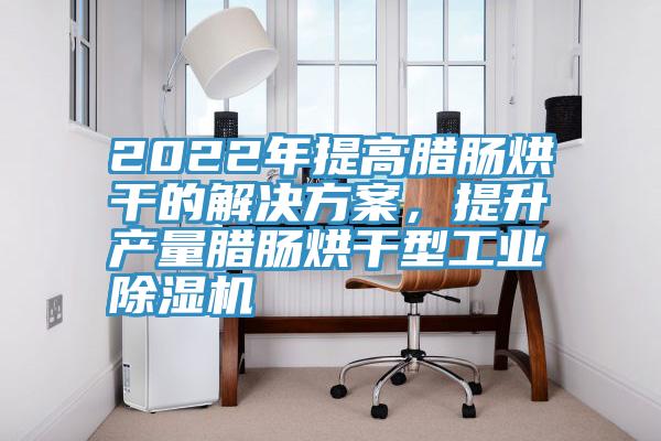 2022年提高臘腸烘干的解決方案,提升產(chǎn)量臘腸烘干型工業(yè)除濕機