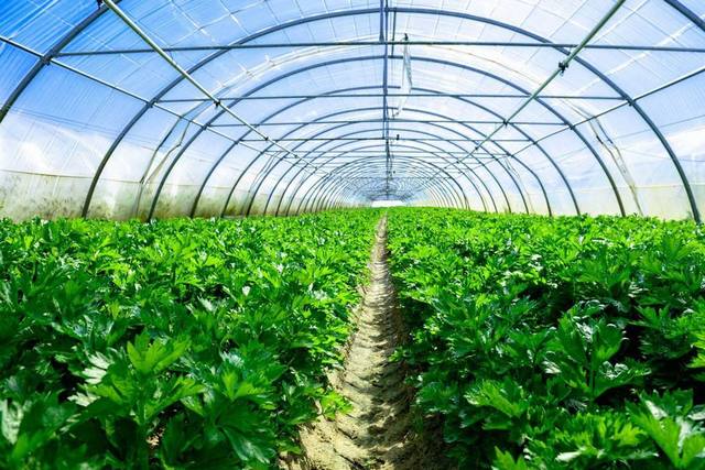 1568769021395659.jpg 圖片1.jpg