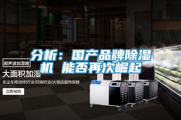 分析:國產品牌除濕機 能否再次崛起