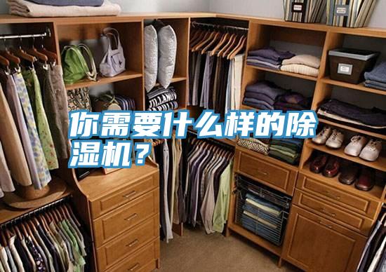 你需要什么樣的除濕機?