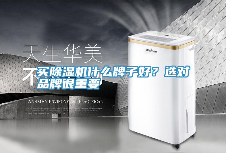 買除濕機什么牌子好？選對品牌很重要