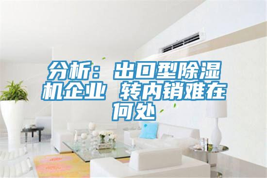 分析:出口型除濕機(jī)企業(yè) 轉(zhuǎn)內(nèi)銷(xiāo)難在何處