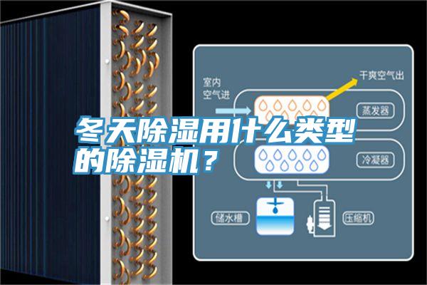 冬天除濕用什么類型的除濕機?