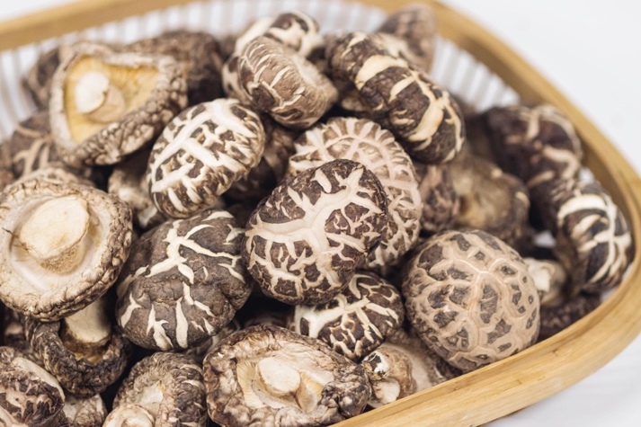 干貨倉庫怎么利用除濕機保持干爽?