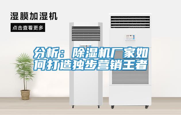 分析:除濕機(jī)廠家如何打造獨(dú)步營(yíng)銷王者