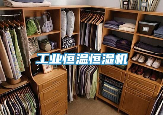 工業(yè)恒溫恒濕機(jī)