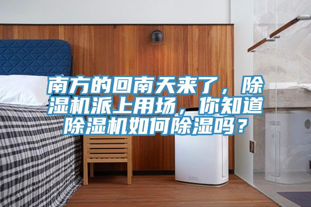 南方的回南天來(lái)了,除濕機(jī)派上用場(chǎng),你知道除濕機(jī)如何除濕嗎?