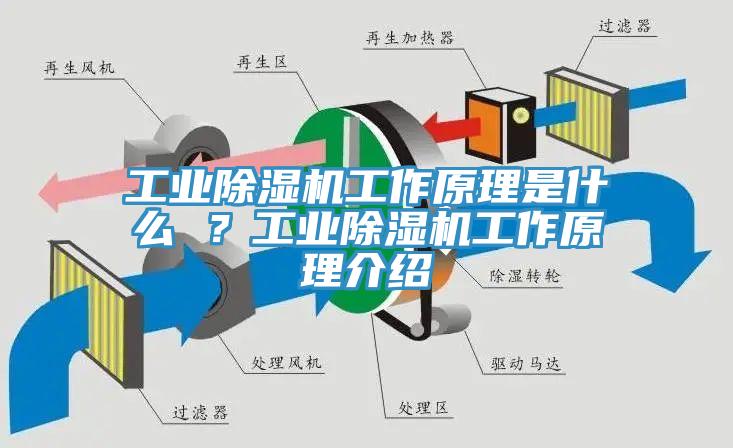工業(yè)除濕機工作原理是什么 ？工業(yè)除濕機工作原理介紹
