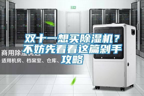 雙十一想買除濕機(jī)？不妨先看看這篇剁手攻略