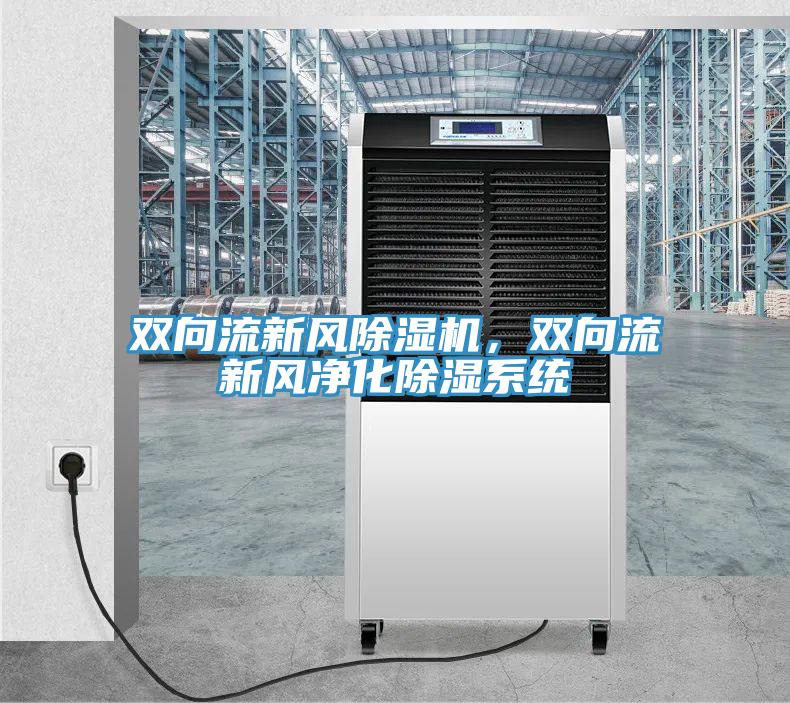 雙向流新風除濕機,雙向流新風凈化除濕系統