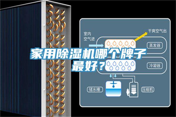 家用除濕機(jī)哪個牌子最好？