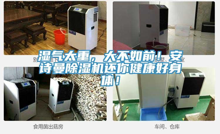 濕氣太重，大不如前！安詩(shī)曼除濕機(jī)還你健康好身體！