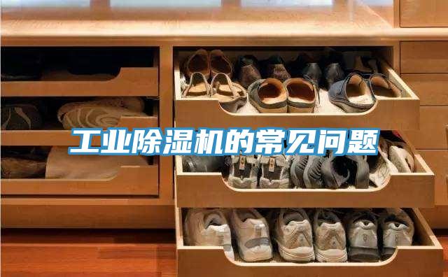 工業(yè)除濕機的常見問題