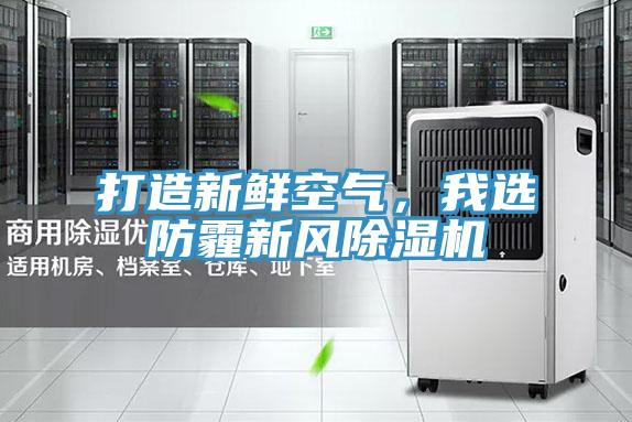 打造新鮮空氣,我選防霾新風除濕機