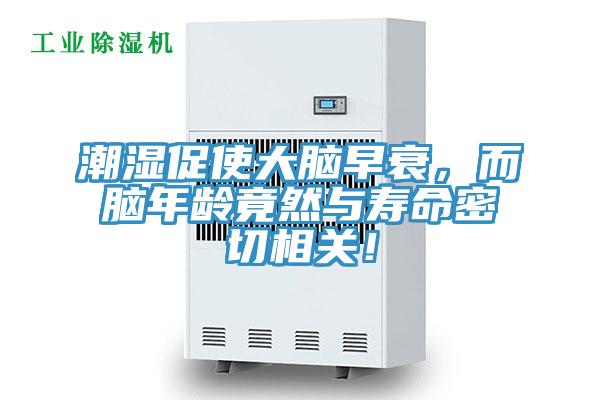 潮濕促使大腦早衰，而腦年齡竟然與壽命密切相關！