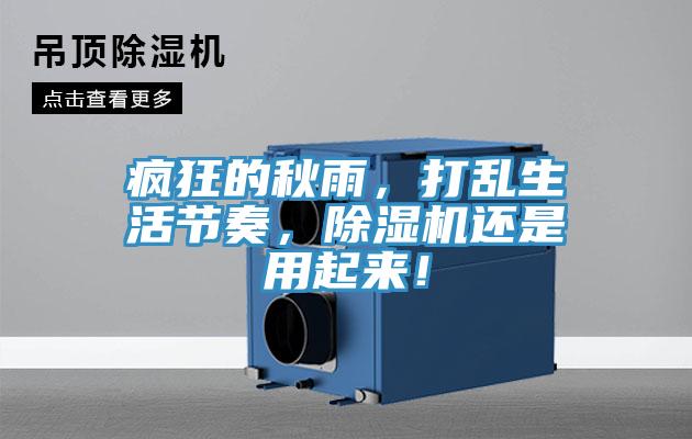 瘋狂的秋雨,打亂生活節(jié)奏,除濕機(jī)還是用起來!