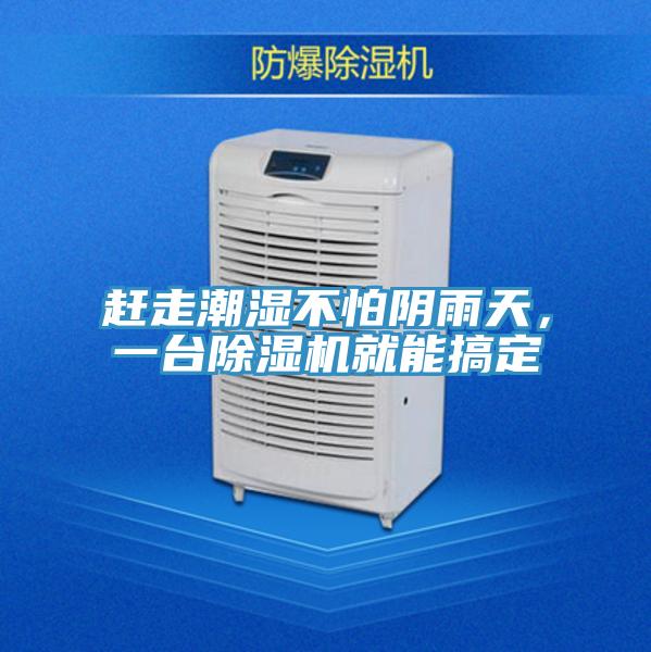 趕走潮濕不怕陰雨天,一臺除濕機就能搞定