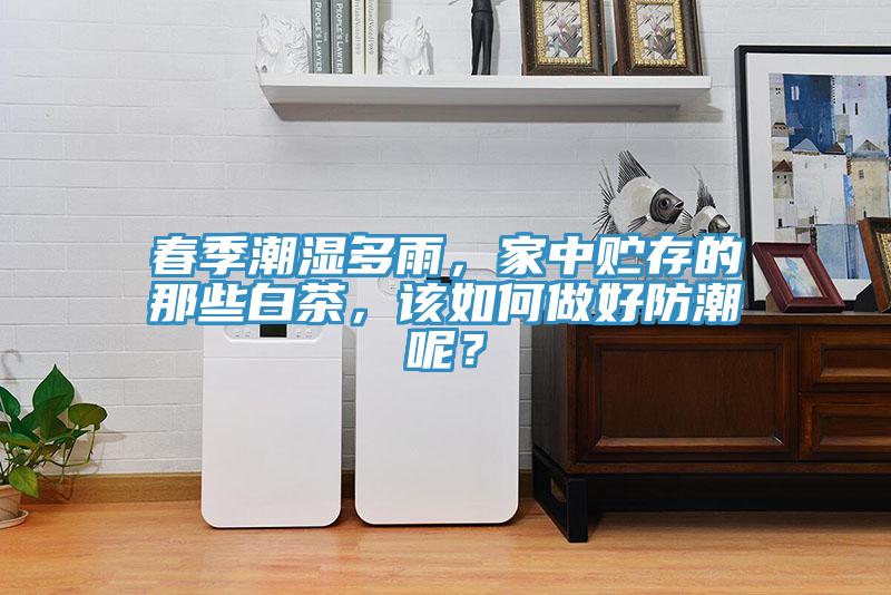 春季潮濕多雨，家中貯存的那些白茶，該如何做好防潮呢？