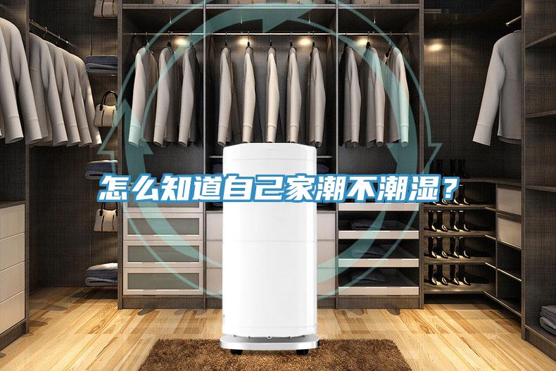 怎么知道自己家潮不潮濕?