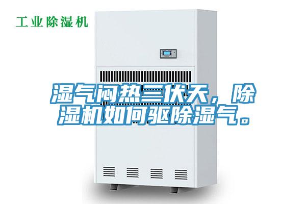 濕氣悶熱三伏天，除濕機如何驅(qū)除濕氣。