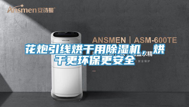 花炮引線烘干用除濕機，烘干更環保更安全