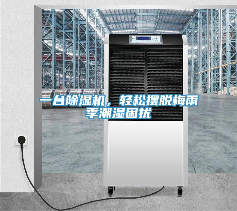 一臺(tái)除濕機(jī)，輕松擺脫梅雨季潮濕困擾