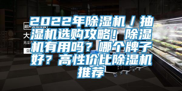 2022年除濕機(jī)/抽濕機(jī)選購攻略!除濕機(jī)有用嗎?哪個(gè)牌子好?高性價(jià)比除濕機(jī)推薦