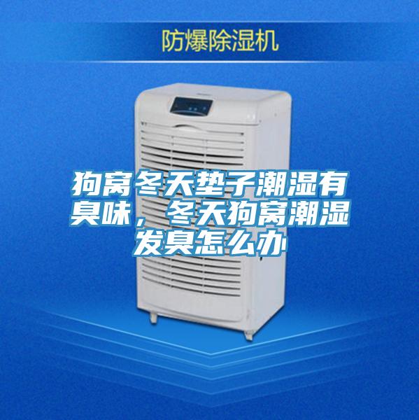 狗窩冬天墊子潮濕有臭味,冬天狗窩潮濕發(fā)臭怎么辦