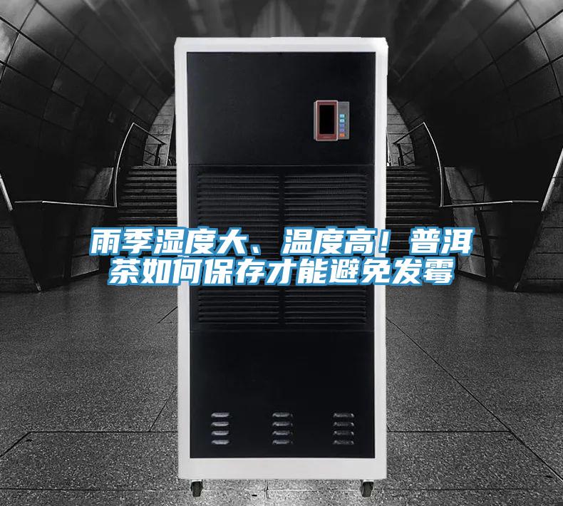 雨季濕度大、溫度高！普洱茶如何保存才能避免發(fā)霉