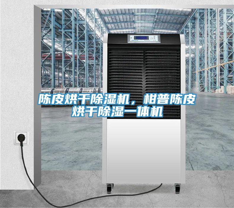 陳皮烘干除濕機,柑普陳皮烘干除濕一體機