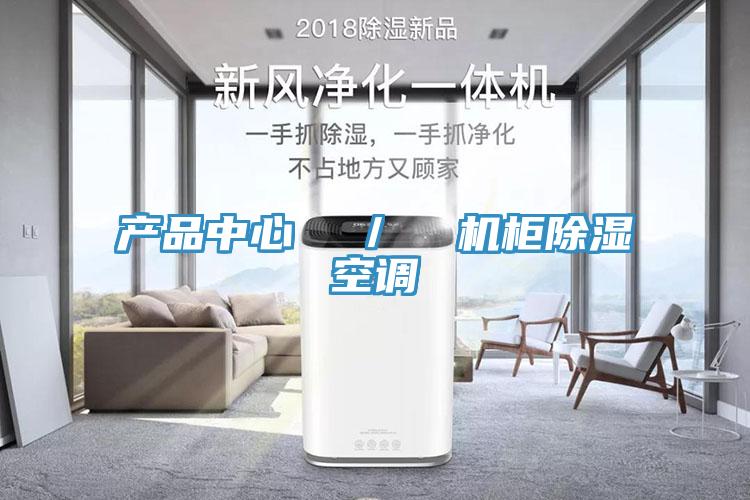 產品中心 / 機柜除濕空調