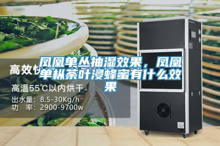 鳳凰單叢抽濕效果,鳳凰單樅荼葉浸蜂蜜有什么效果