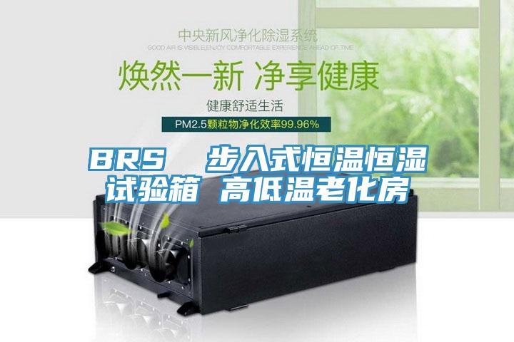 BRS 步入式恒溫恒濕試驗箱 高低溫老化房