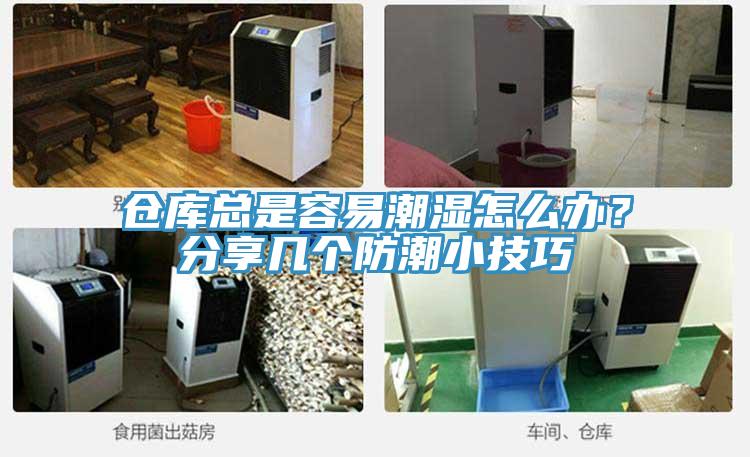 倉庫總是容易潮濕怎么辦?分享幾個防潮小技巧