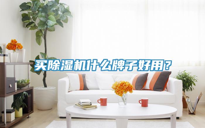 買除濕機什么牌子好用？