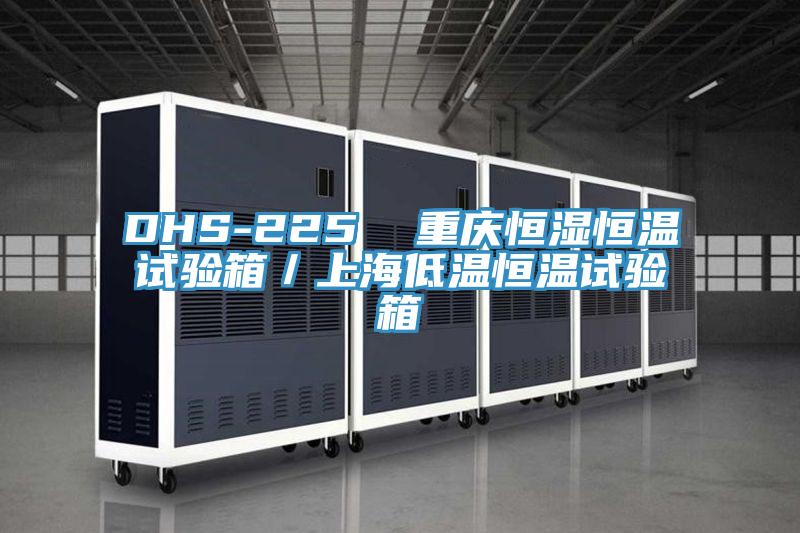 DHS-225 重慶恒濕恒溫試驗箱/上海低溫恒溫試驗箱
