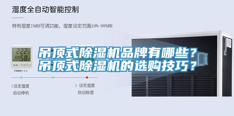 吊頂式除濕機品牌有哪些?吊頂式除濕機的選購技巧?