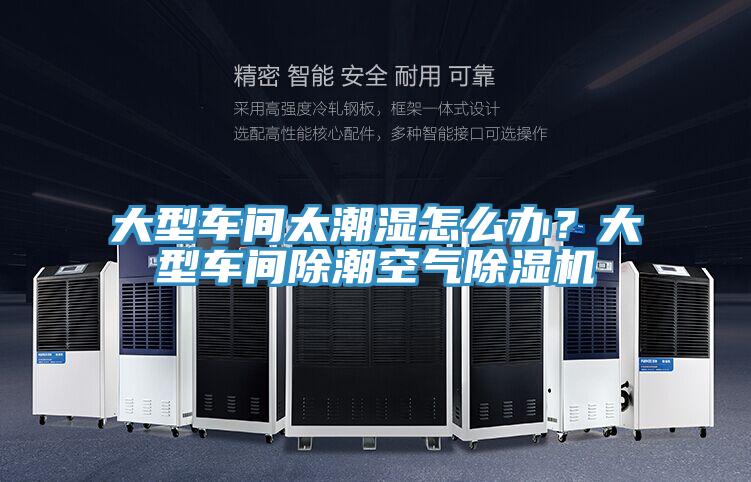 大型車(chē)間太潮濕怎么辦？大型車(chē)間除潮空氣除濕機(jī)