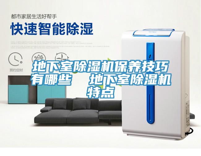 地下室除濕機保養(yǎng)技巧有哪些 地下室除濕機特點