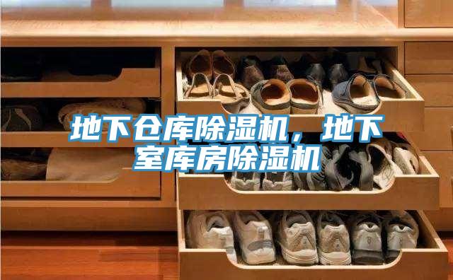 地下倉(cāng)庫(kù)除濕機(jī),地下室?guī)旆砍凉駲C(jī)
