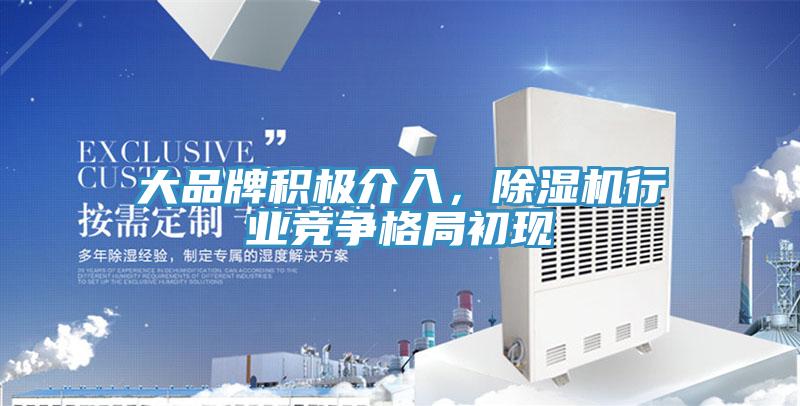 大品牌積極介入,除濕機行業競爭格局初現