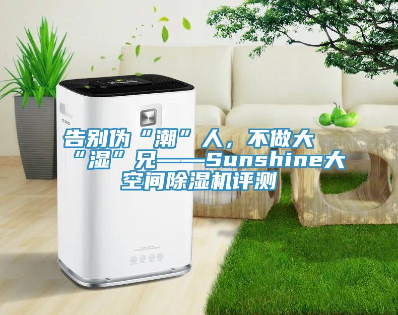 告別偽“潮”人,不做大“濕”兄——Sunshine大空間除濕機評測
