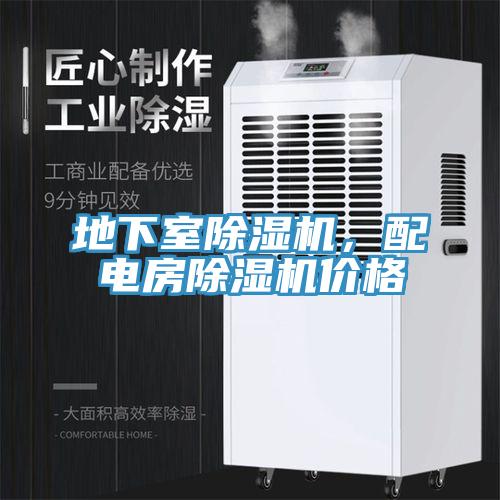 地下室除濕機(jī),配電房除濕機(jī)價(jià)格