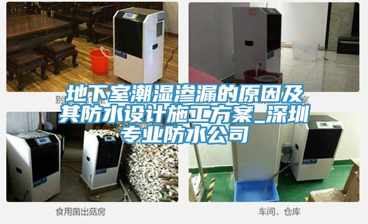 地下室潮濕滲漏的原因及其防水設計施工方案_深圳專業(yè)防水公司