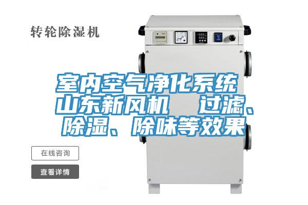 室內空氣凈化系統 山東新風機  過濾、除濕、除味等效果