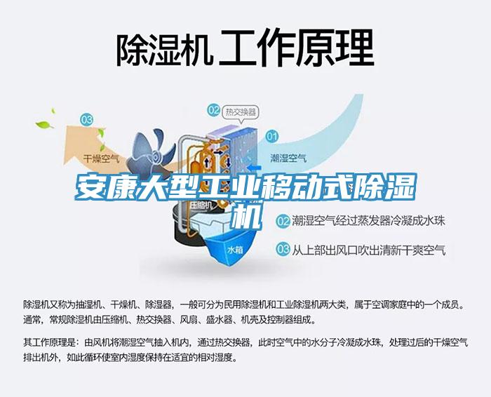 安康大型工業(yè)移動式除濕機