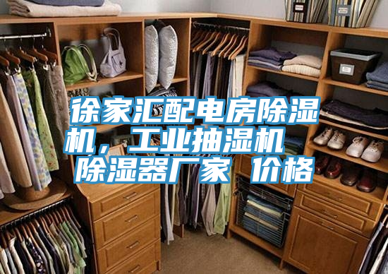 徐家匯配電房除濕機，工業(yè)抽濕機  除濕器廠家 價格