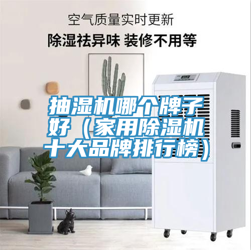抽濕機哪個牌子好(家用除濕機十大品牌排行榜)