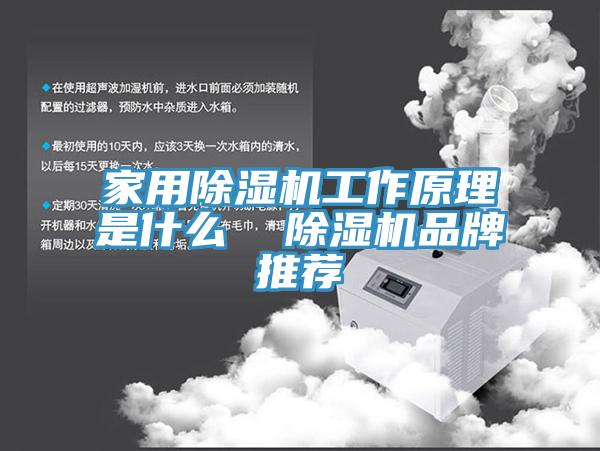 家用除濕機工作原理是什么 除濕機品牌推薦